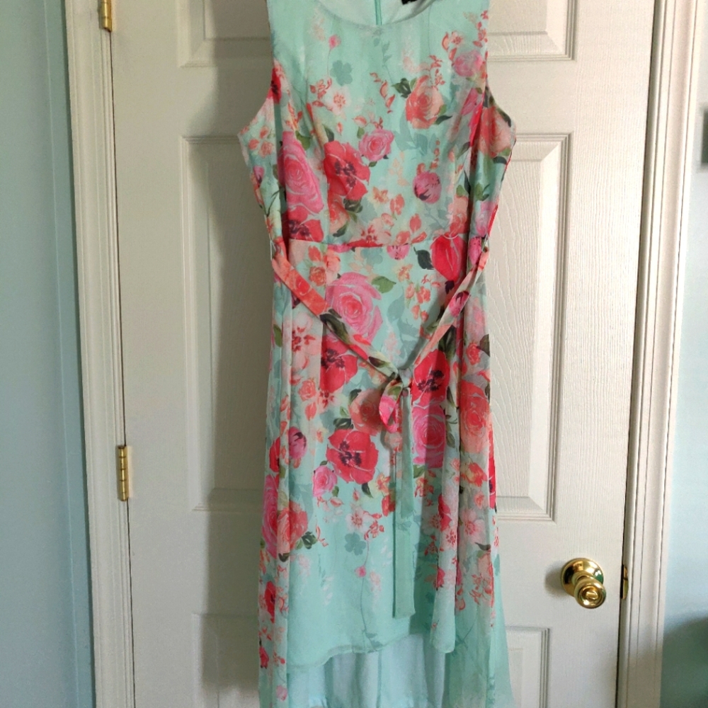 R&K Fit and Flare sleveless dress